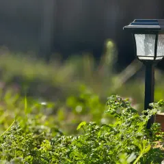Lampa solarna w ogrodzie, która w dzień zbiera energię słoneczną, a nocą oświetla ścieżkę.