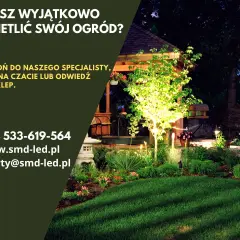 Pięknie oświetlony ogród nocą. Szukasz idealnej lampy do oświetlenia podwórka? Skontaktuj się z nami!