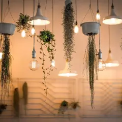 Wiszące rośliny i lampy tworzą magiczne migotanie światła. Ciepłe żarówki oświetlają delikatne pnącza i zwisające mchy, tworząc przytulną atmosferę.