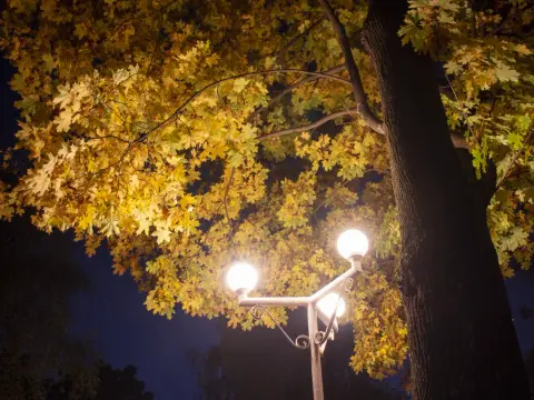 Zanieczyszczenie światłem - Jak poprawić nocne oświetlenie?