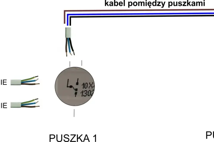 Schemat instalacji elektrycznej. Widoczny symbol łącznika schodowego, kable zasilające i oświetleniowe, puszki elektryczne.