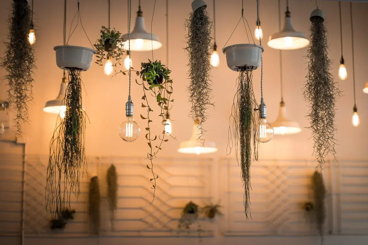 Wiszące rośliny i lampy tworzą magiczne migotanie światła. Ciepłe żarówki oświetlają delikatne pnącza i zwisające mchy, tworząc przytulną atmosferę.