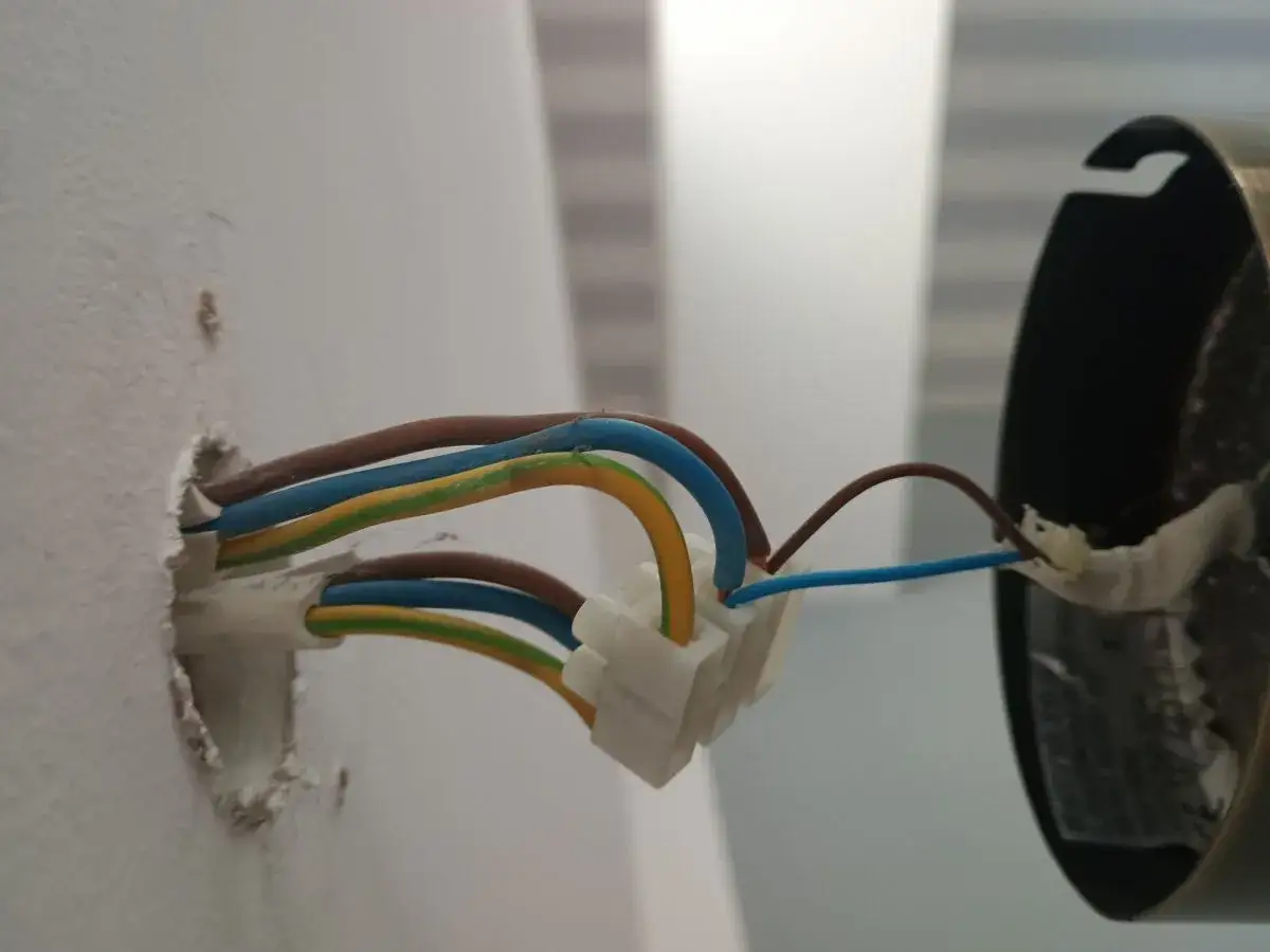 Połączenie przewodów elektrycznych, w tym żółto zielony kabel, wychodzących ze ściany do oprawy oświetleniowej.
