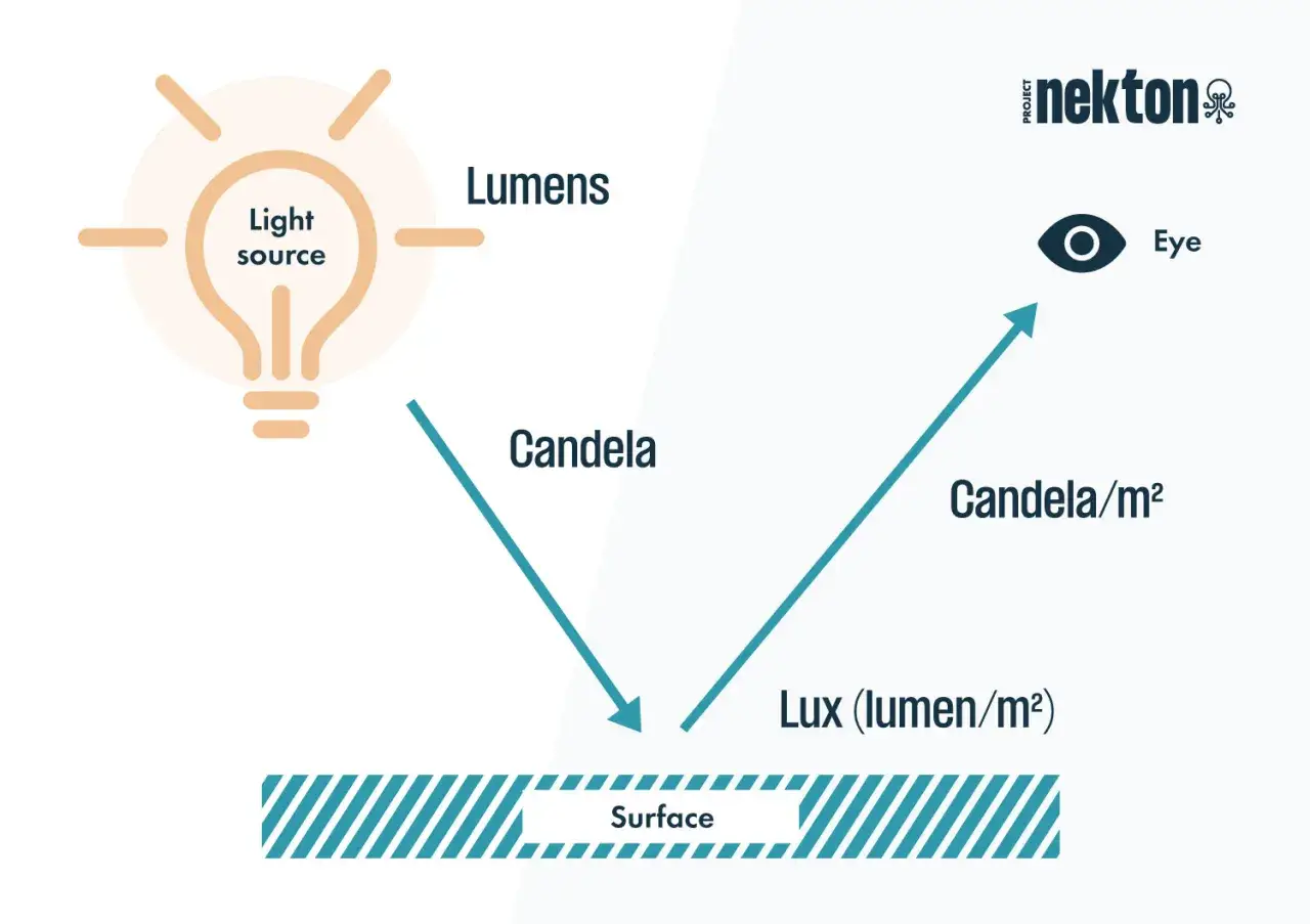 Schemat wyjaśnia różnicę między lumenami a luxami. Źródło światła emituje lumeny, które padają na powierzchnię, tworząc luxy. Oko widzi odbite światło.